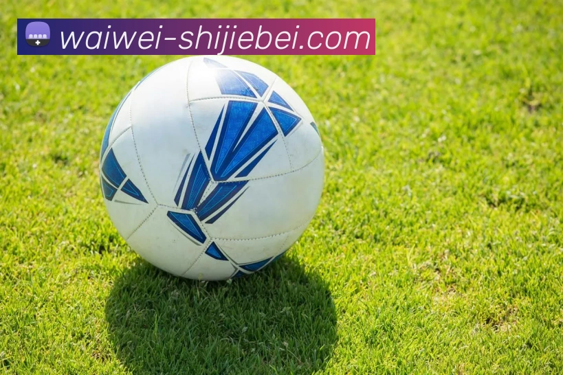 世界杯外围服务体系